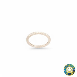 Eternity con Zirconi Argento Rodiato
