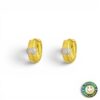Orecchini in Argento Dorato
