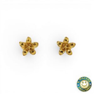 Orecchini Lobo Oro Giallo